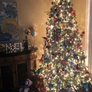 Meet your Posher, Gina-rocco